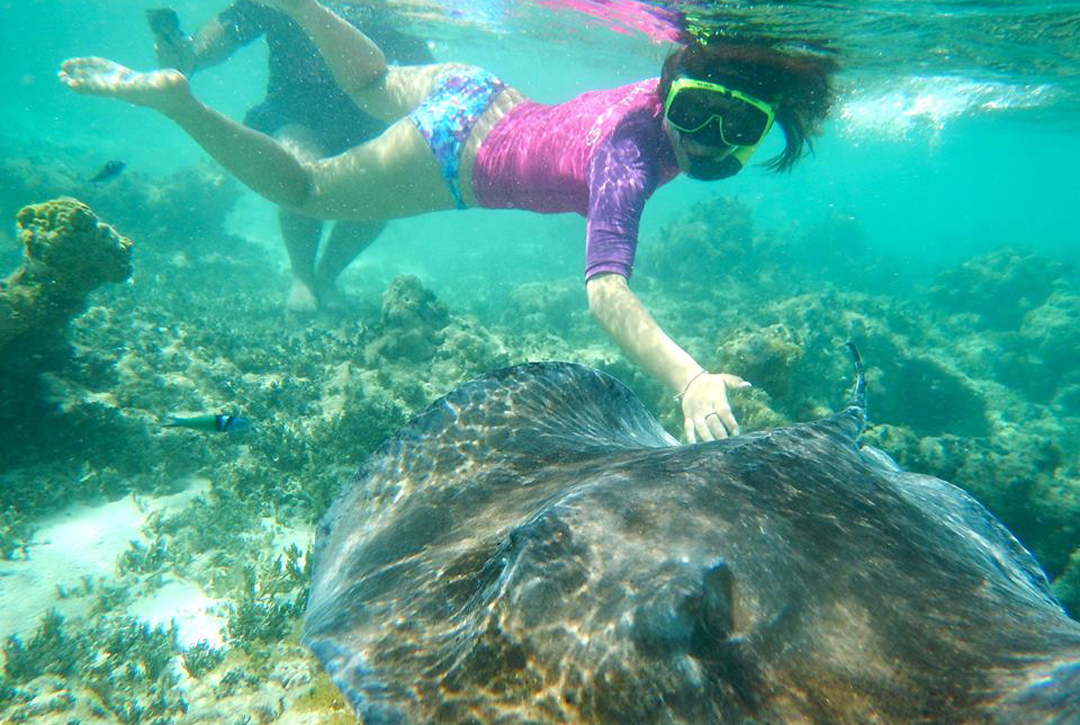 Barriera corallina caraibi