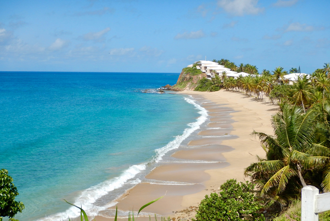 Ovest caraibi